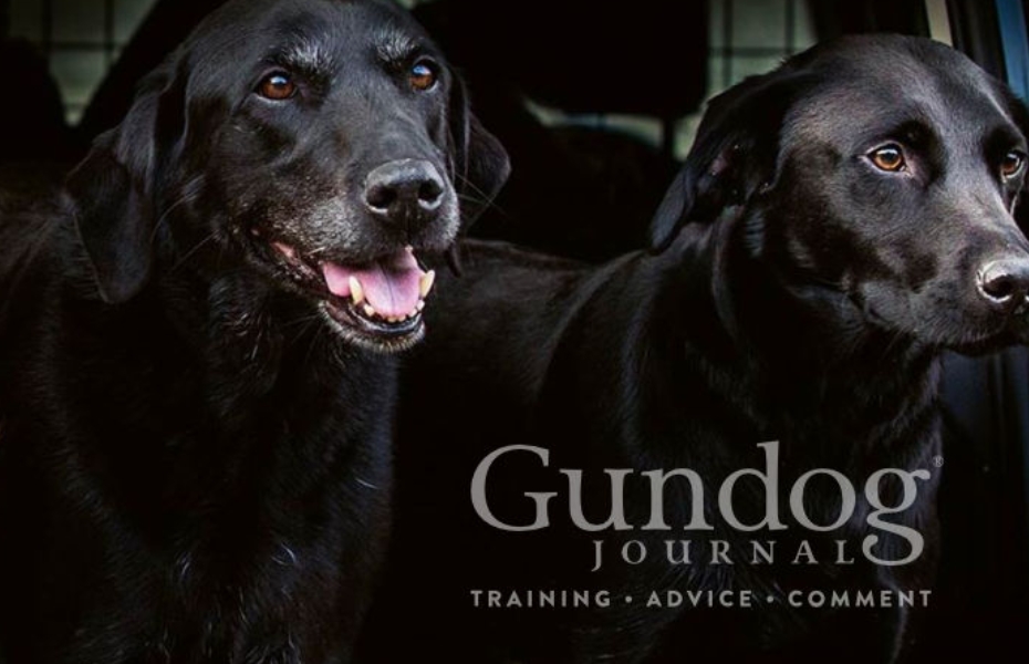 ESco launches brand new website for Gundog Journal